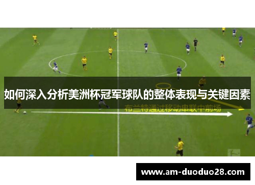 如何深入分析美洲杯冠军球队的整体表现与关键因素