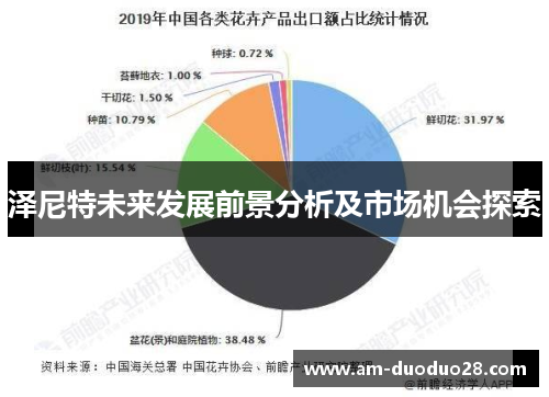 泽尼特未来发展前景分析及市场机会探索 泽尼特未来发展前景分析及市场机会探索