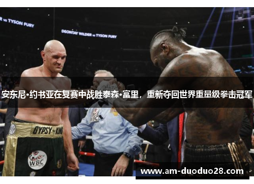 安东尼·约书亚在复赛中战胜泰森·富里，重新夺回世界重量级拳击冠军